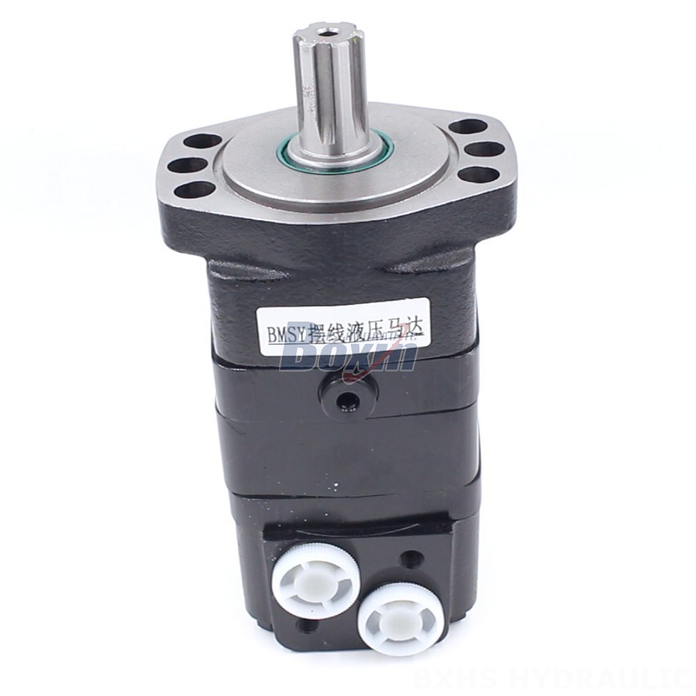 Partnership Opportunities: BMSY Cycloid Hydraulic Motor (100cc/r 50Lpm) main image